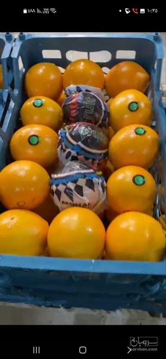 فروش پرتقال