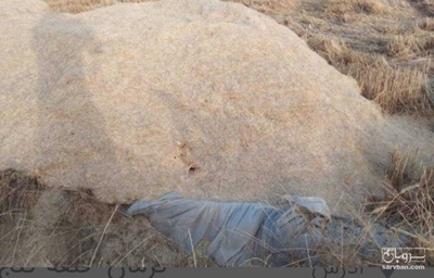 فروش کاه و کلش گندم