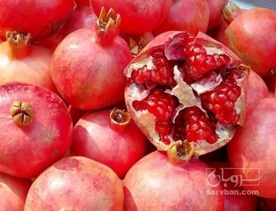 فروش انار