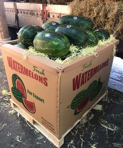 فروش سبدهای حمل و نقل محصولات