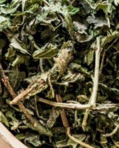 فروش گزنه (گیاه‌ دارویی)