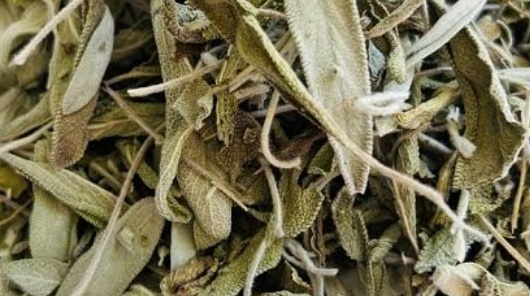 فروش مریم گلی (گیاه‌ دارویی)