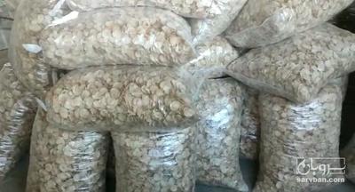 فروش موسیر پلاک