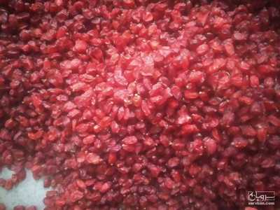 فروش زرشک دانه اناری