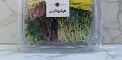 فروش میکروگرین چغندر لبو