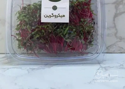 فروش میکرو گرین تربچه