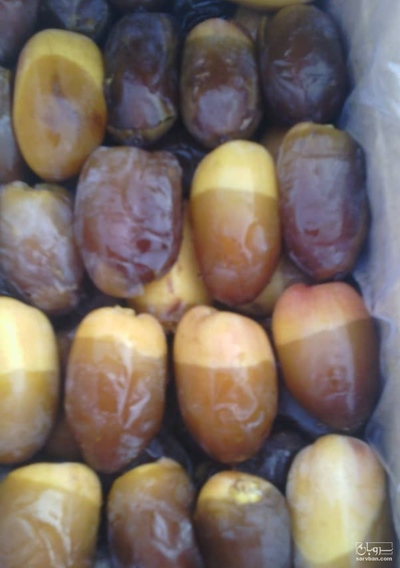 فروش خرما زرد