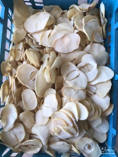 فروش موسیر خشک پلاک