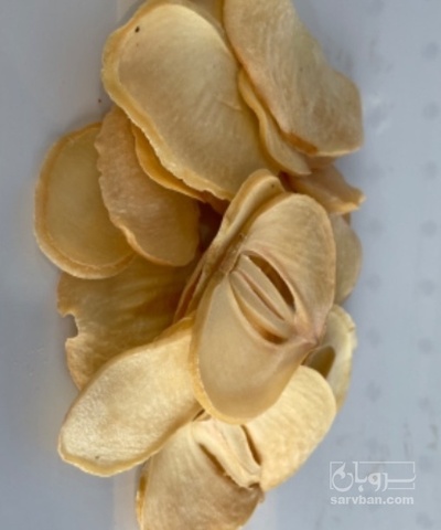 فروش موسیر پلاک