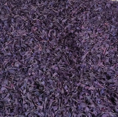 فروش گاو زبان