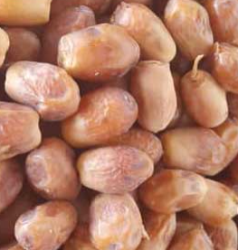 فروش خرما زاهدی