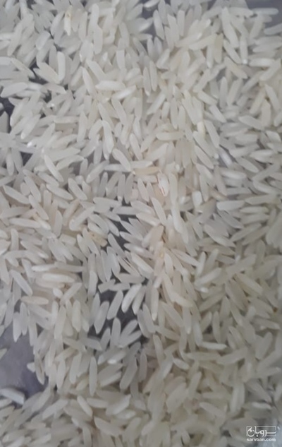 فروش برنج هاشمی