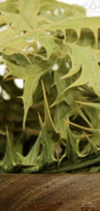 فروش زول خاردرحدتناژداخل کیسه