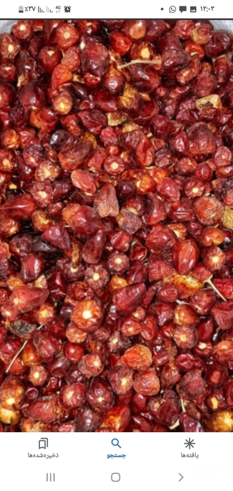 فروش فلفل عنابی خارجی بدون دم