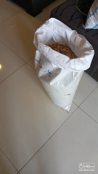 فروش پیاز خشک سفید