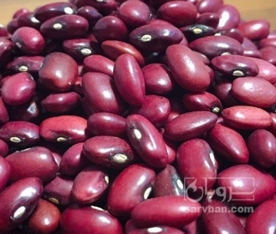 فروش لوبیا قرمز