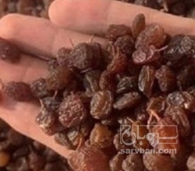 فروش کشمش قهوه ایی