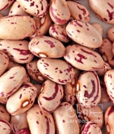 فروش لوبیا چیتی