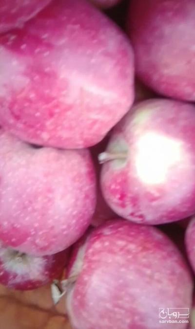 فروش سیب قرمز