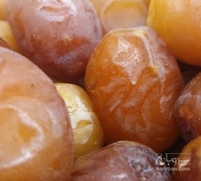 فروش  رطب خرما برحی