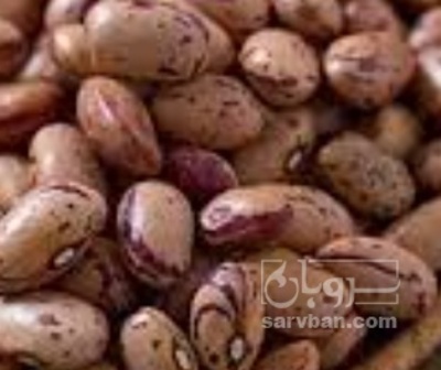 فروش لوبیا چیتی