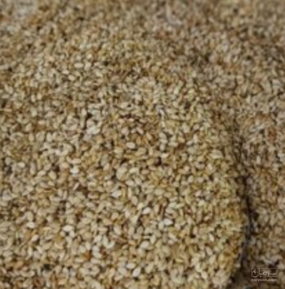 فروش کنجد دارویی (گیاه‌ دارویی)