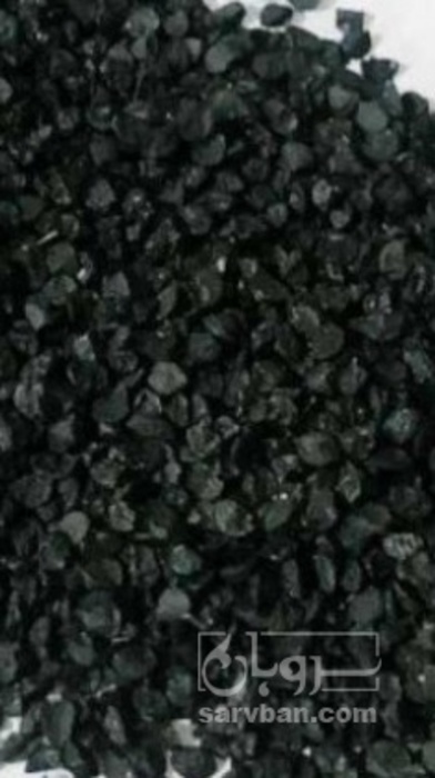 فروش  بذرپیاز