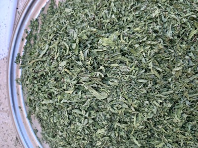 فروش نعناع خشک