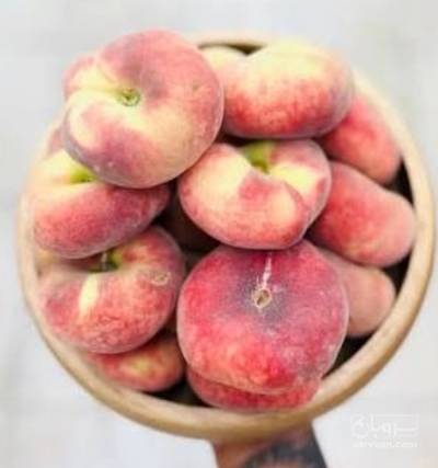 فروش هلو انجیری