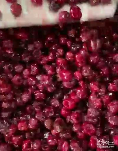 فروش آلبالو