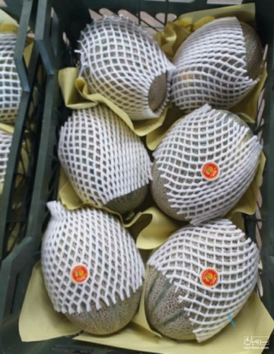 فروش طالبی جانا