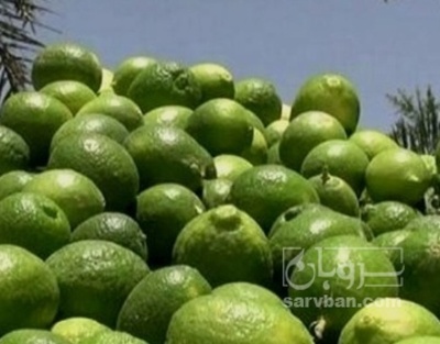 فروش لیموترش