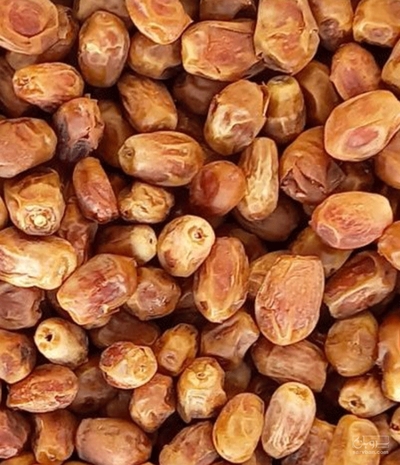 فروش خرما