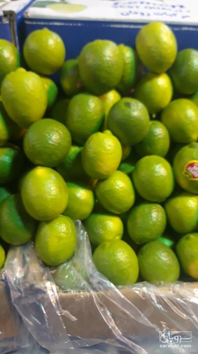 فروش لیموترش