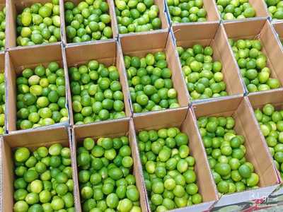 فروش لیموترش