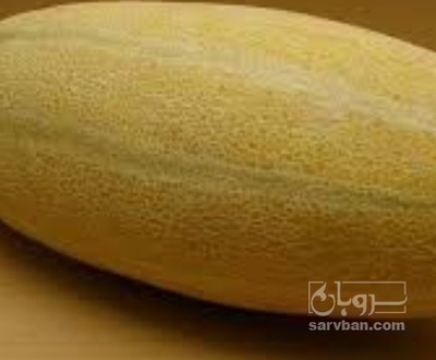 فروش خربزه مشهدی