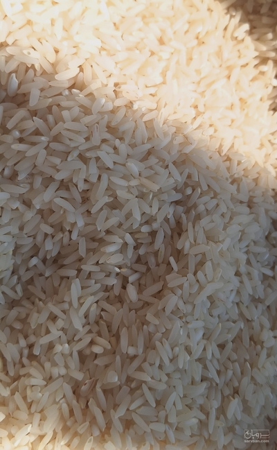 فروش برنج