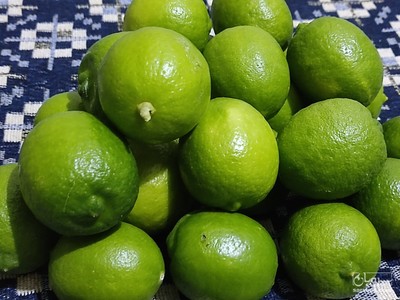 فروش لیموترش