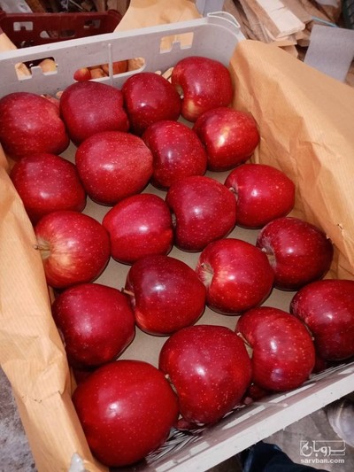 فروش سیب قرمز