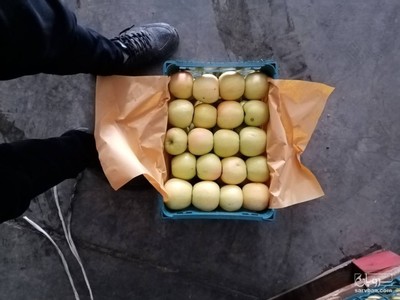 فروش سیب زرد