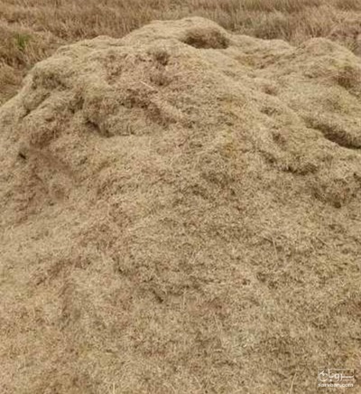 فروش کاه و کلش گندم