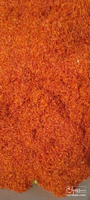 فروش گل گلرنگ