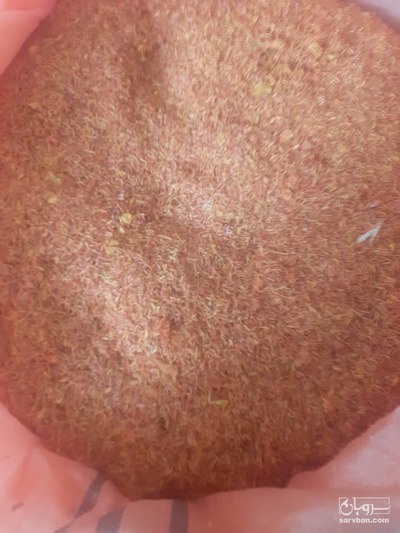 فروش گلرنگ 2