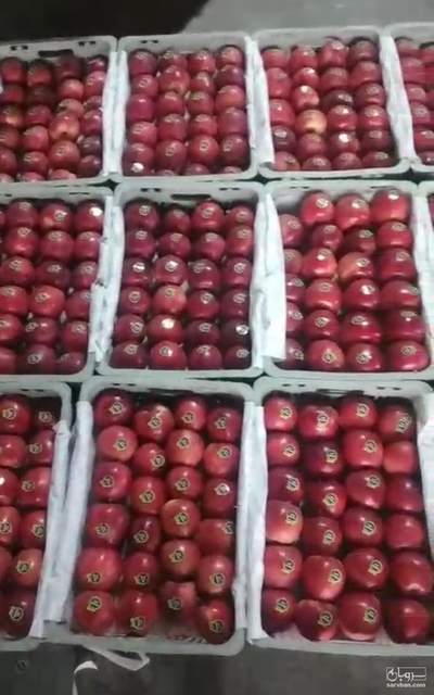 فروش سیب قرمز
