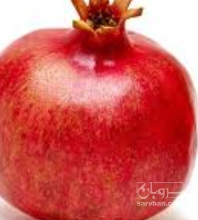 فروش انار
