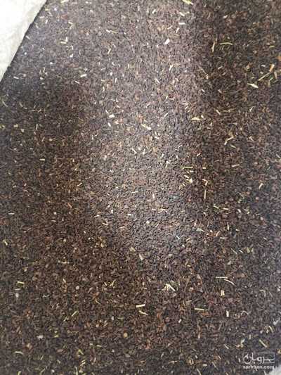 فروش  اسفند