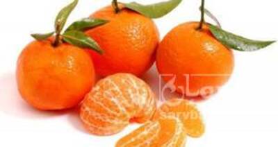 فروش نارنگی