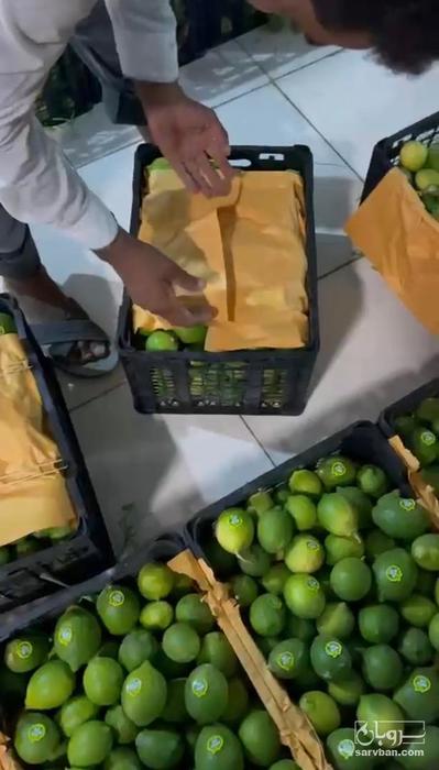 فروش لیموترش