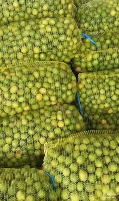 فروش لیموترش