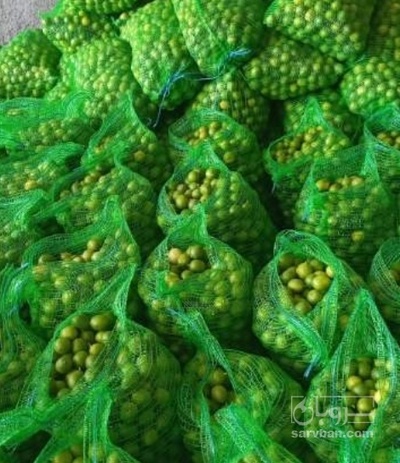 فروش لیموترش